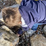 Ramassage déchets Tage