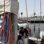 Goélette Tara Océan